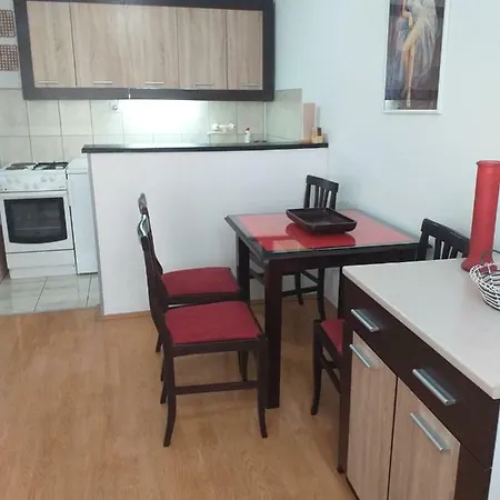 Apartman Nadja I Djole Apartment Soko Banja